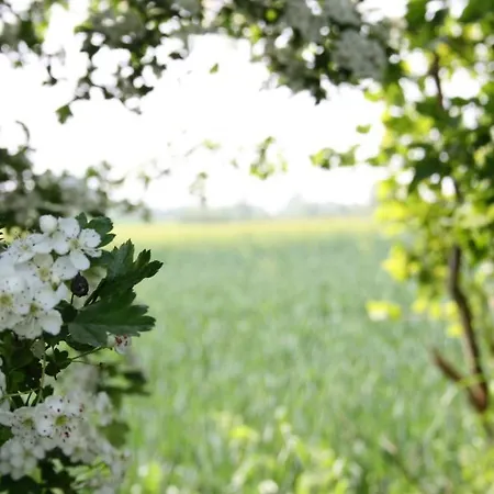 فندق Alte Landschule Langballig