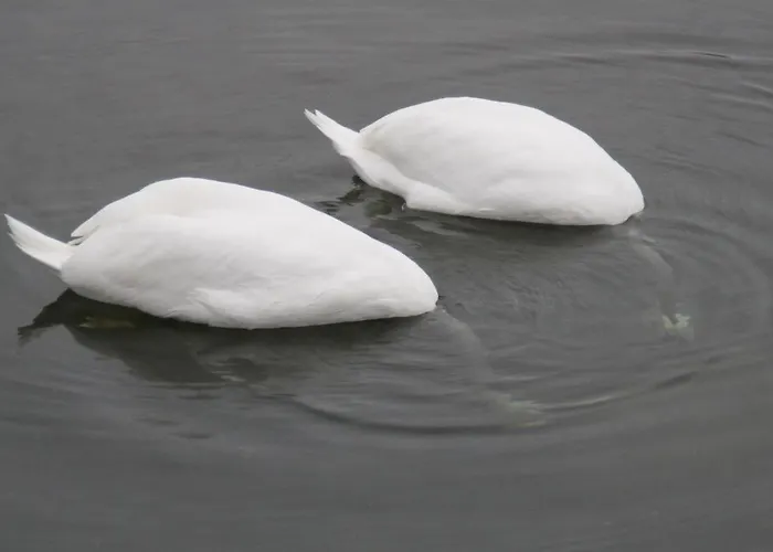 Alte Landschule Langballig
